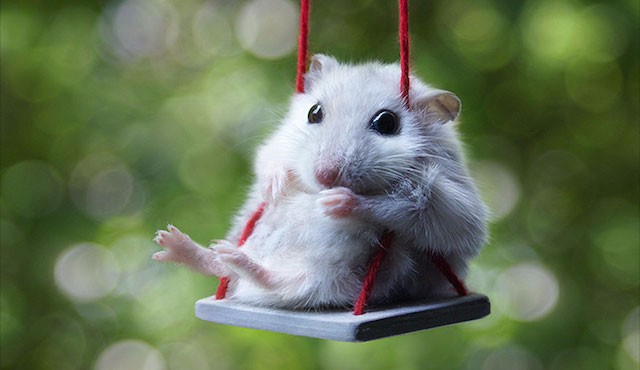 כדאי לקנות אוגר? - FXP