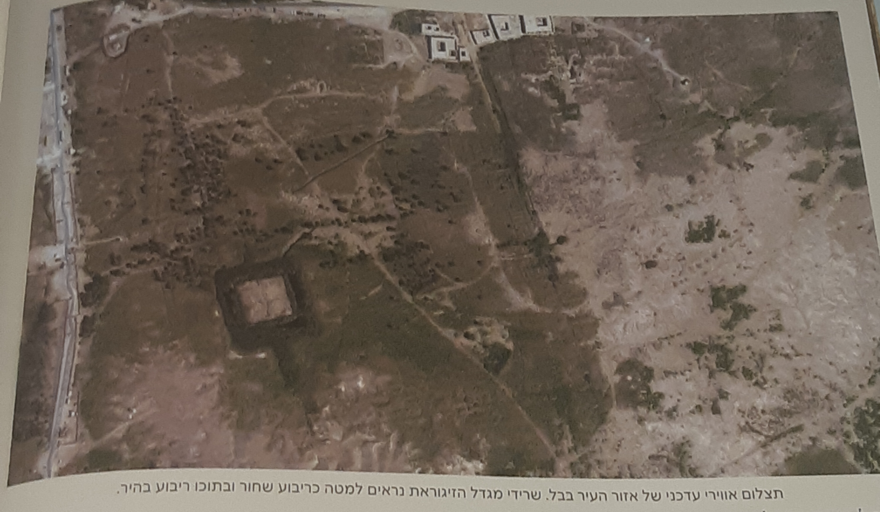 ממצאים ארכיאולוגיים אודות מגדל בבל - FXP