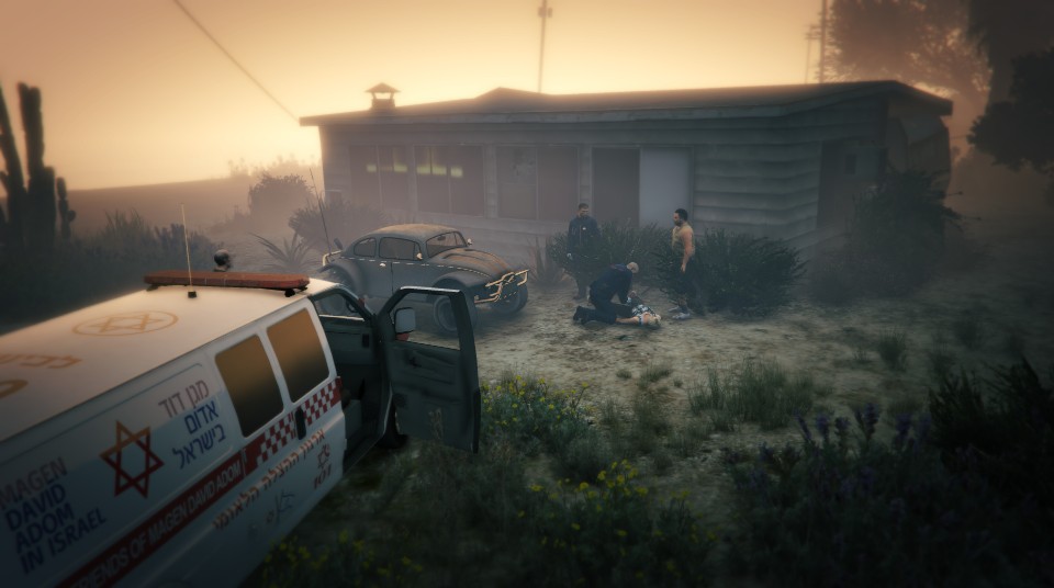 EMS MOD עבור GTA V FXP