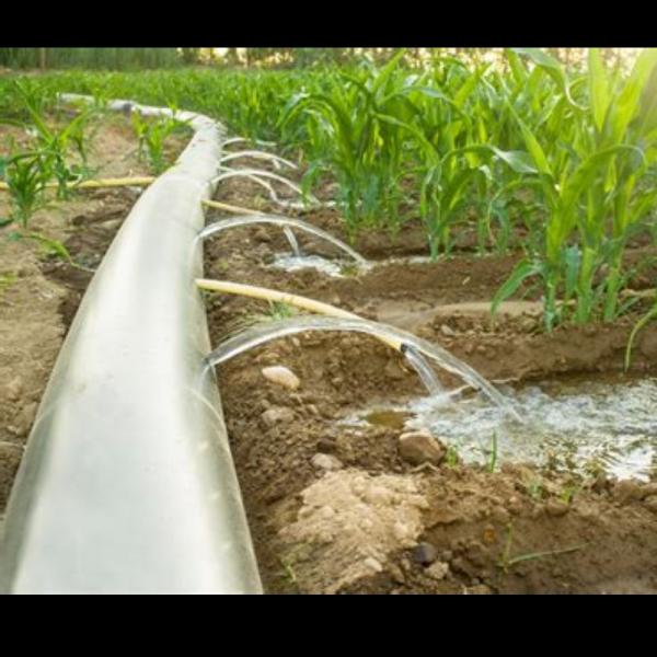 How much does Harris 'swipe under the carpet'? FXP